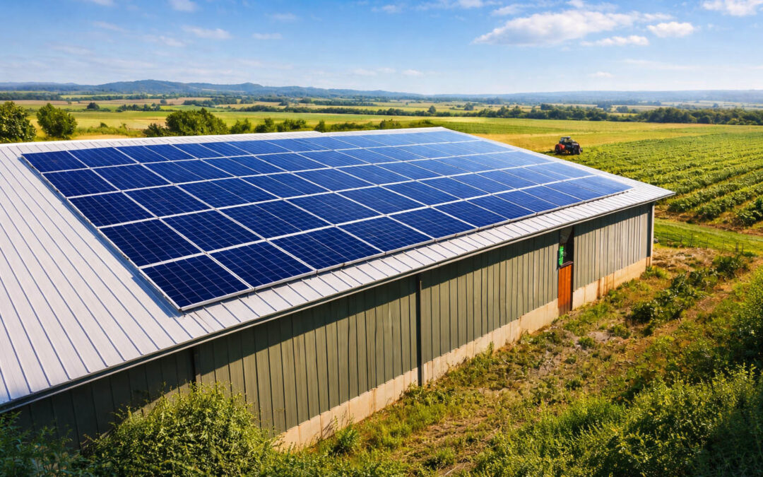 Facility Parco Agrisolare: pubblicate le nuove regole!