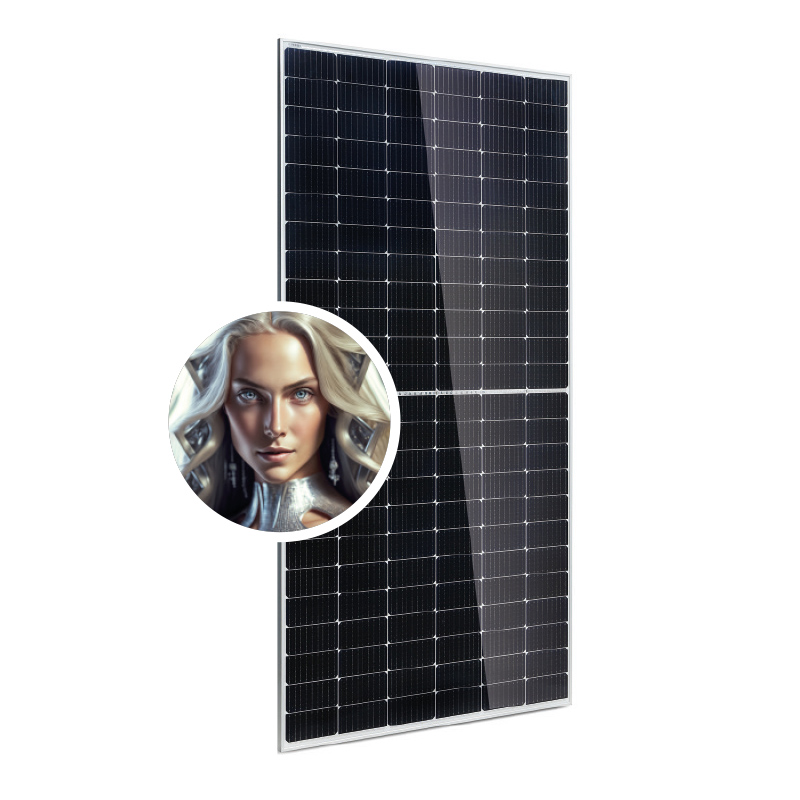 Silver-800x800 Modulo Silver Omnia Solar